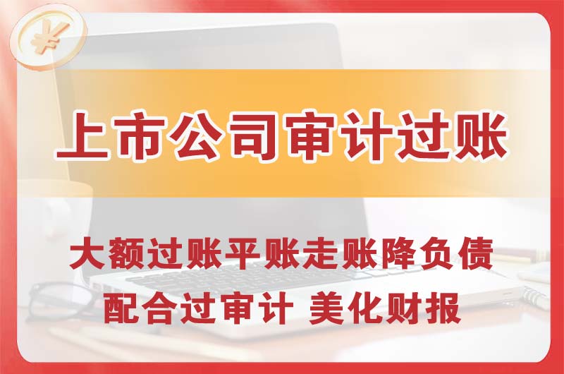 潮州上市公司审计过账